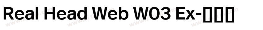 Real Head Web W03 Ex字体转换